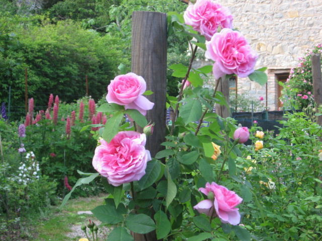 Ca' di Minù giardino