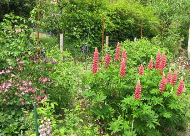 Ca' di Minù giardino