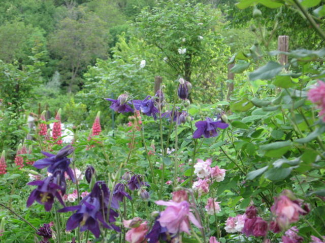 Ca' di Minù giardino