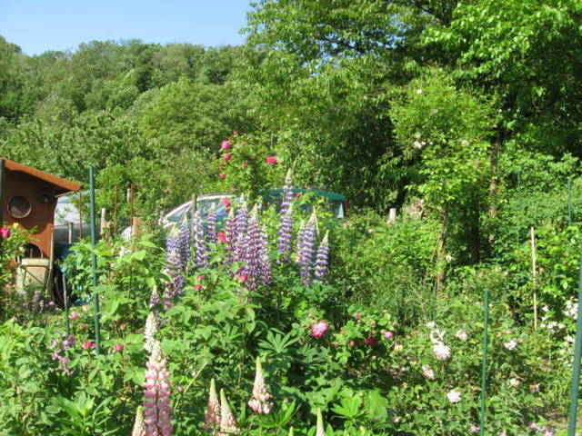 Ca' di Minù giardino