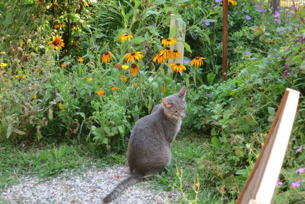 Ca' di Minù giardino