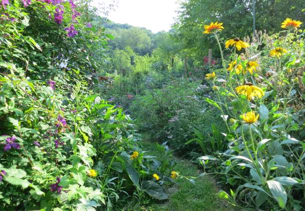 Ca' di Minù giardino